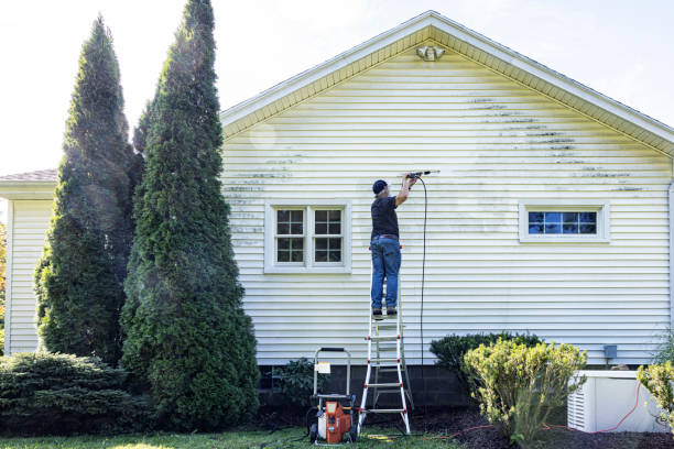 Pre-Holiday Cleaning in Mountain City, GA